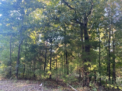 Land For Sale In Tn, 7 Acres+/-, Corner Frontage - image 2