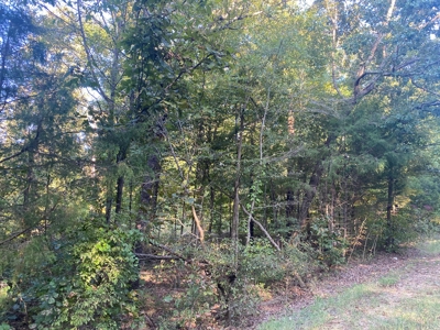 Land For Sale In Tn, 7 Acres+/-, Corner Frontage - image 12
