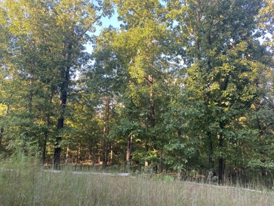 Land For Sale In Tn, 7 Acres+/-, Corner Frontage - image 15