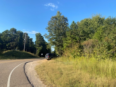 Land For Sale In Tn, 7 Acres+/-, Corner Frontage - image 9