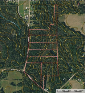 Land For Sale In Tn, 7 Acres+/-, Corner Frontage - image 24