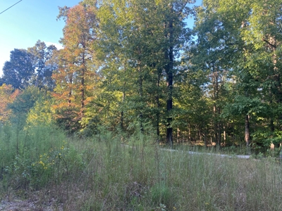 Land For Sale In Tn, 7 Acres+/-, Corner Frontage - image 4