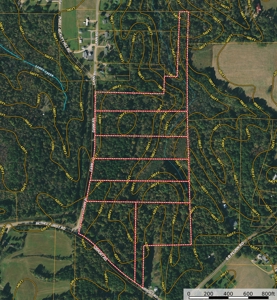 Land For Sale In Tn, 6.2 Acres+/-, Private Setting - image 11