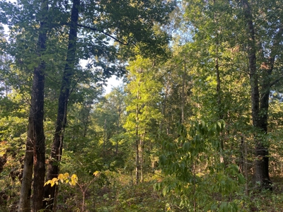 Land For Sale In Tn, 6.2 Acres+/-, Private Setting - image 8