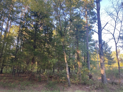 Land For Sale In Tn, 6.2 Acres+/-, Private Setting - image 3