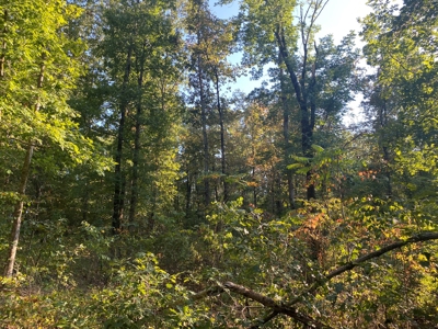 Land For Sale In Tn, 6.2 Acres+/-, Private Setting - image 2