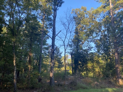 Land For Sale In Tn, 6.2 Acres+/-, Private Setting - image 4