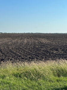 15 Acres in Orange Grove, Texas - image 1