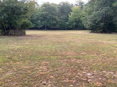 Home for Sale in Van Buren County, Arkansas - image 9