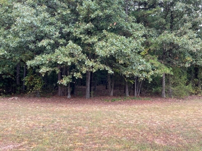 Home for Sale in Van Buren County, Arkansas - image 8