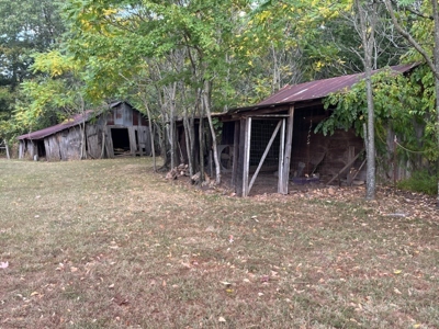 Home for Sale in Van Buren County, Arkansas - image 12