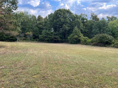 Home for Sale in Van Buren County, Arkansas - image 10
