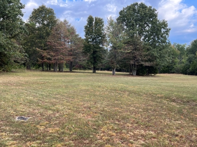 Home for Sale in Van Buren County, Arkansas - image 7
