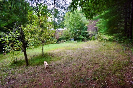 1 Acre Cabin Near Hoosier National Forest - image 9