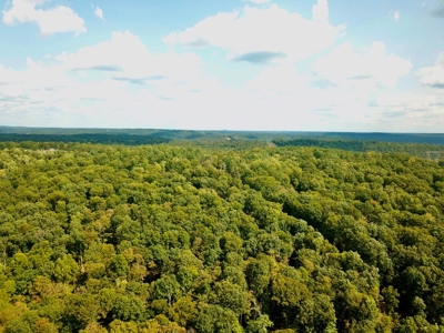 1 Acre Cabin Near Hoosier National Forest - image 18