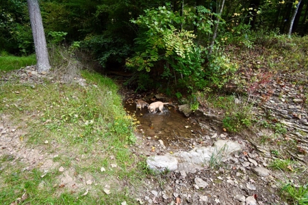 1 Acre Cabin Near Hoosier National Forest - image 12