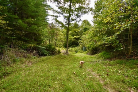 1 Acre Cabin Near Hoosier National Forest - image 14