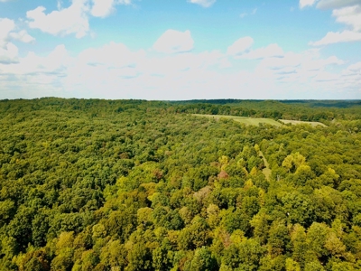 1 Acre Cabin Near Hoosier National Forest - image 15