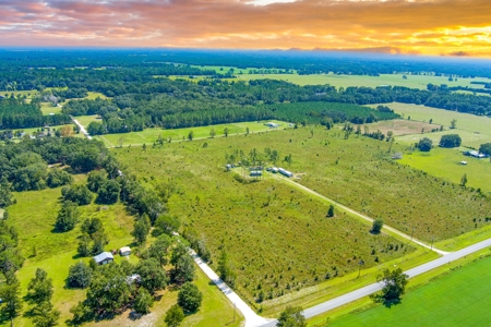 10.86 Acres For Sale Mini Farm For Only $110,000.00!!!! - image 9