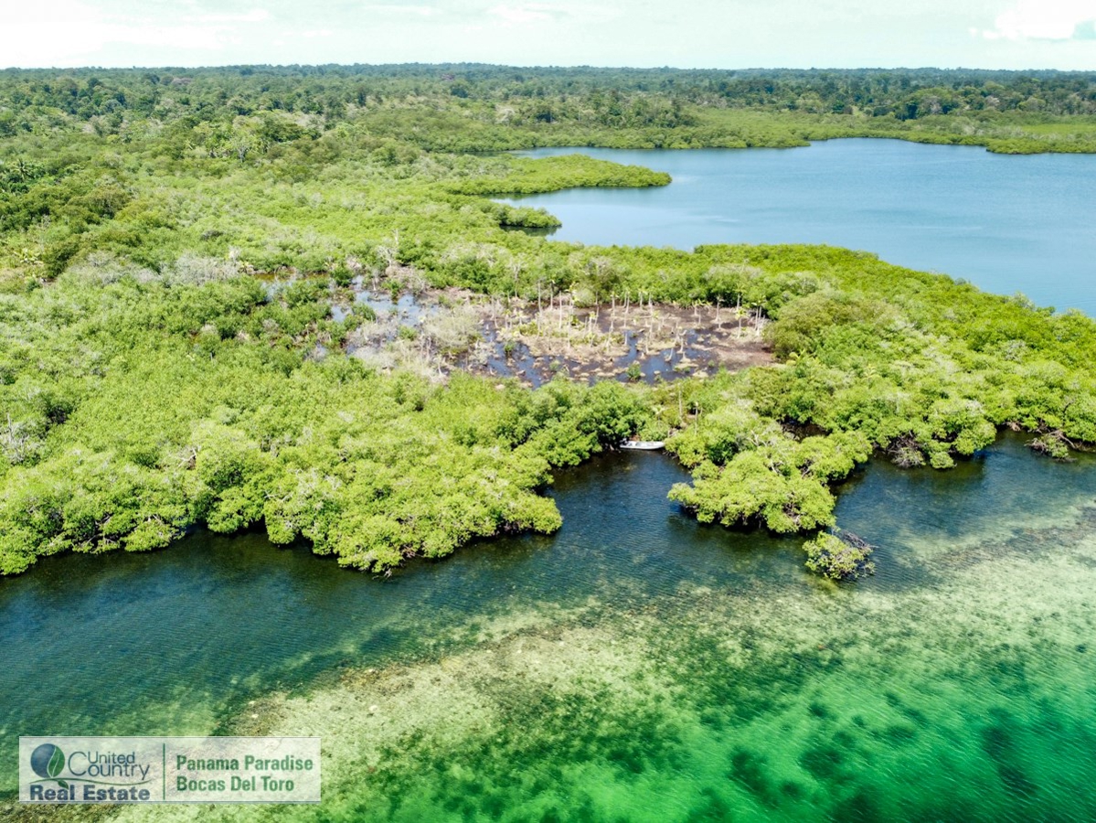 Waterfront Land, 2,400 m² Near Starfish Beach — Isla Colón - 8