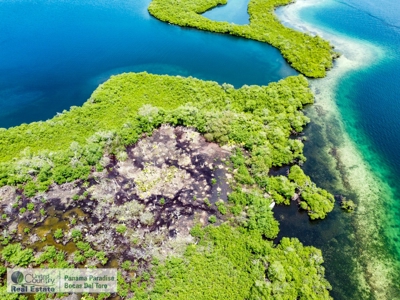 Waterfront Land near Starfish Beach, Bocas del Toro, Panama - image 1