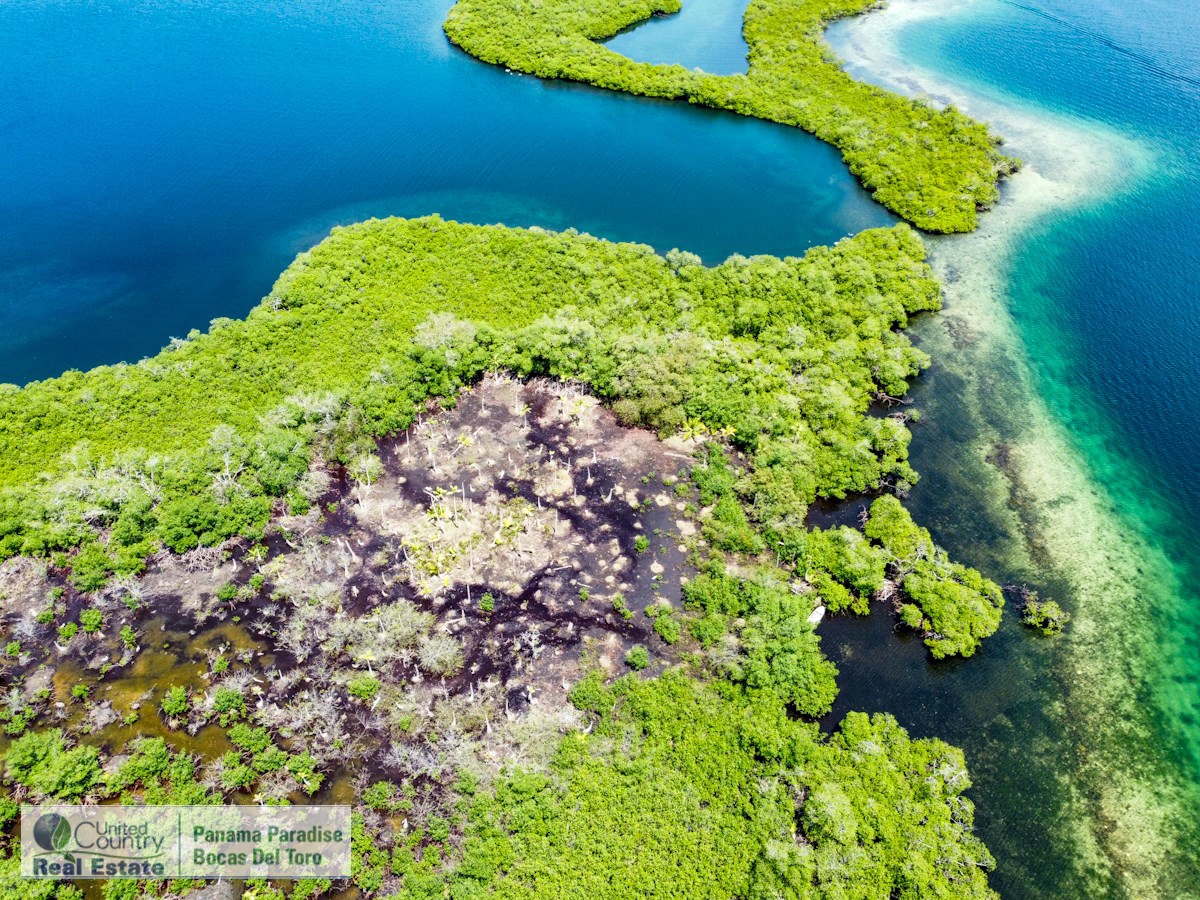 Waterfront Land, 2,400 m² Near Starfish Beach — Isla Colón - 6
