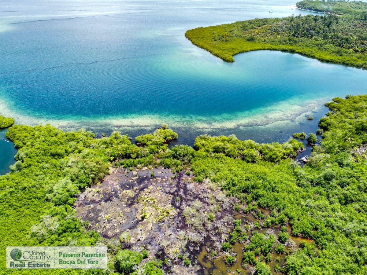 Waterfront Land, 2,400 m² Near Starfish Beach — Isla Colón - 2