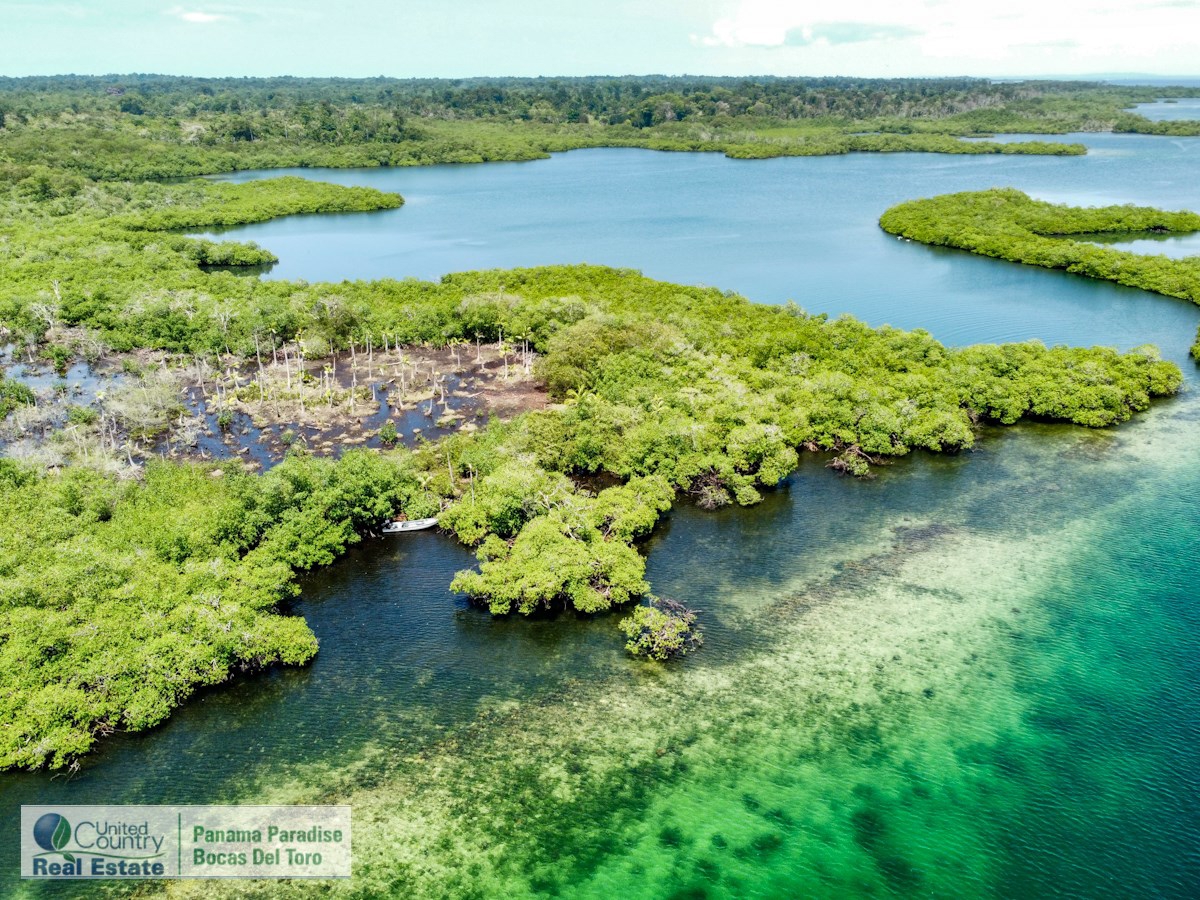 Waterfront Land, 2,400 m² Near Starfish Beach — Isla Colón - 7
