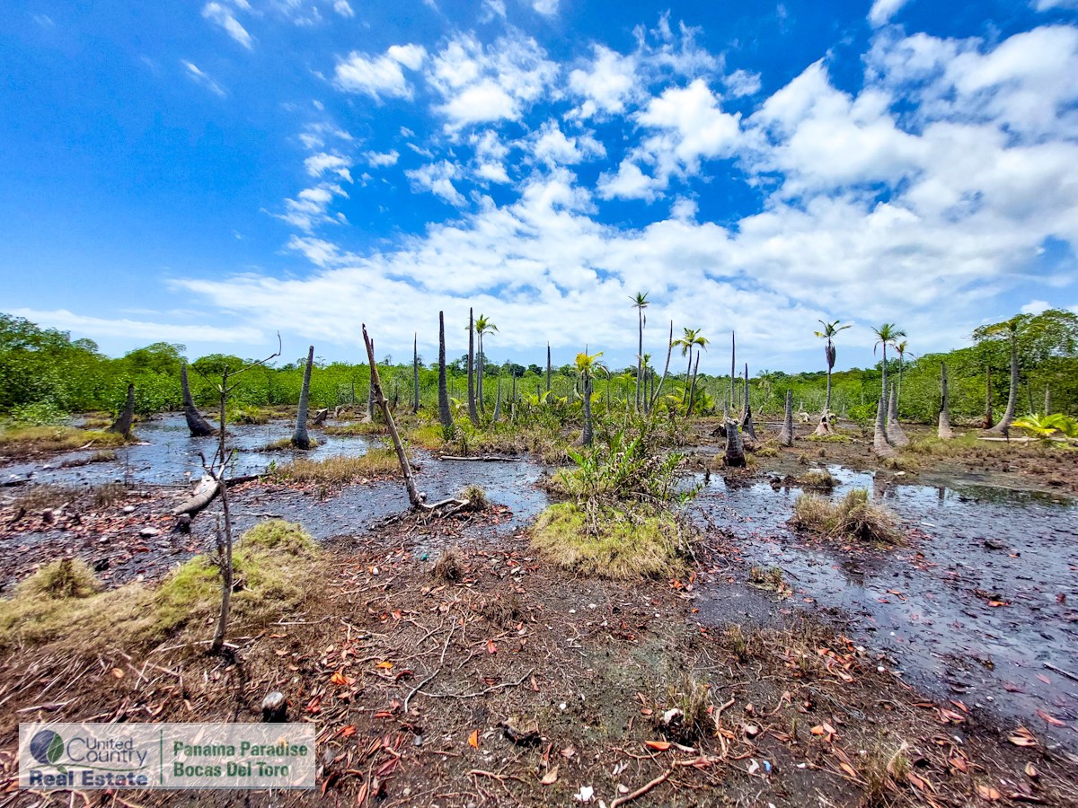 Waterfront Land, 2,400 m² Near Starfish Beach — Isla Colón - 10