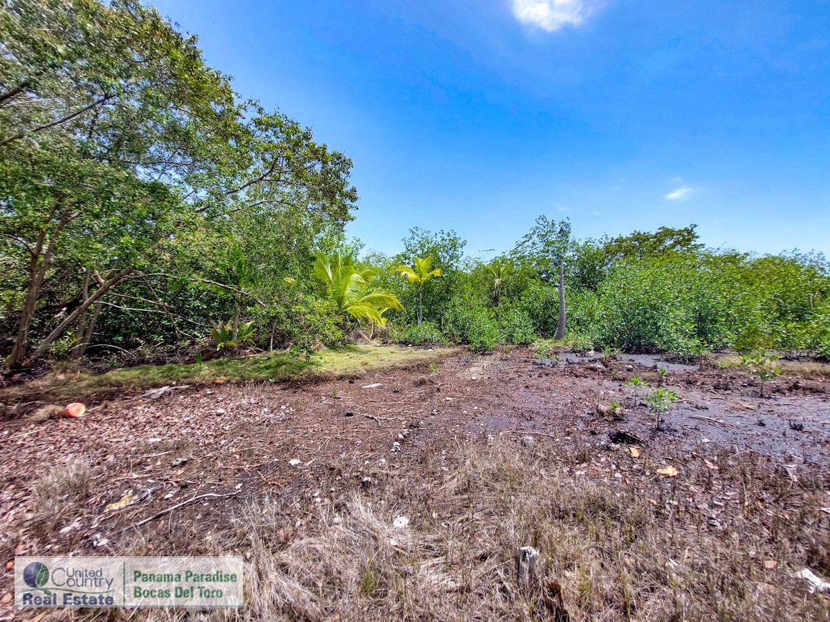 Waterfront Land, 2,400 m² Near Starfish Beach — Isla Colón - 9