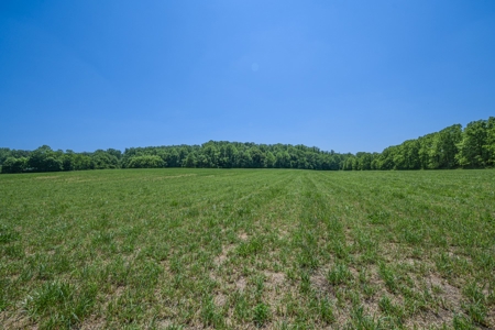 Bloomington Indiana Land for Sale | Farming | Recreactional - image 11