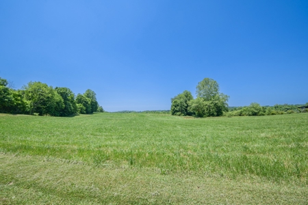 Bloomington Indiana Land for Sale | Farming | Recreactional - image 3
