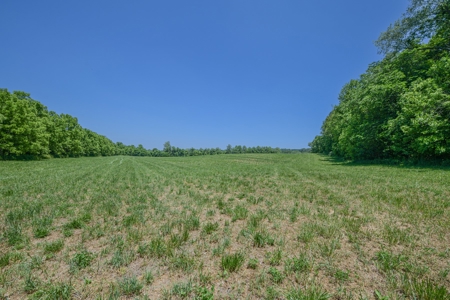 Bloomington Indiana Land for Sale | Farming | Recreactional - image 10