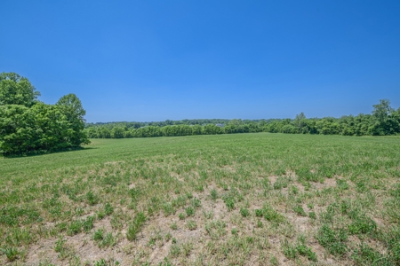 Bloomington Indiana Land for Sale | Farming | Recreactional - image 9