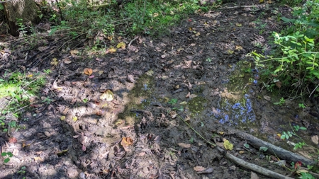 Muskingum County Ohio Land for Sale - image 19