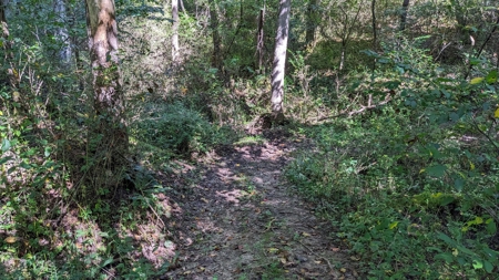 Muskingum County Ohio Land for Sale - image 18