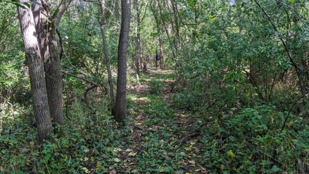Muskingum County Ohio Land for Sale - image 21
