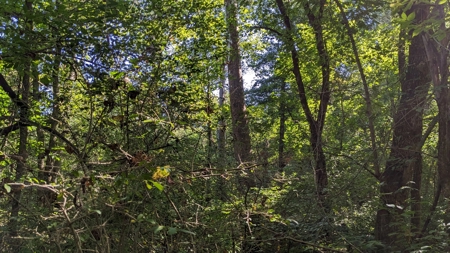 Muskingum County Ohio Land for Sale - image 17