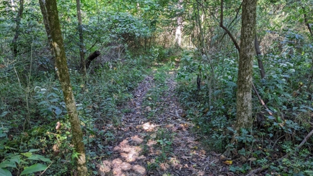 Muskingum County Ohio Land for Sale - image 14