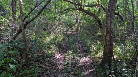 Muskingum County Ohio Land for Sale - image 20