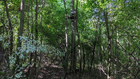 Muskingum County Ohio Land for Sale - image 15