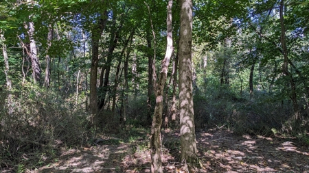 Muskingum County Ohio Land for Sale - image 29