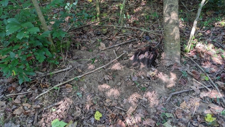 Muskingum County Ohio Land for Sale - image 16