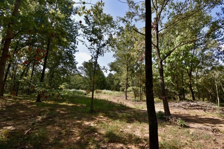 Build Your Dream Home on This Serene Warrick County Land - image 12