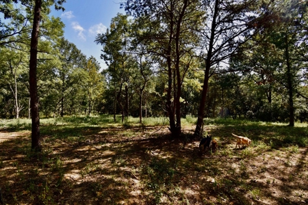 Build Your Dream Home on This Serene Warrick County Land - image 13