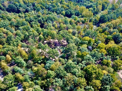 Build Your Dream Home on This Serene Warrick County Land - image 4