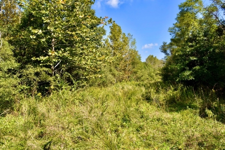 Build Your Dream Home on This Serene Warrick County Land - image 15