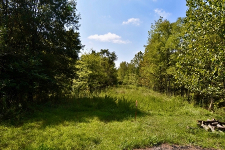 Build Your Dream Home on This Serene Warrick County Land - image 14