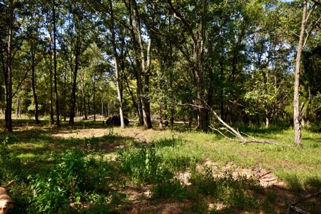 Build Your Dream Home on This Serene Warrick County Land - image 17