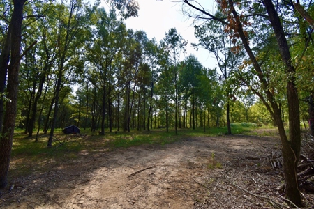 Build Your Dream Home on This Serene Warrick County Land - image 11